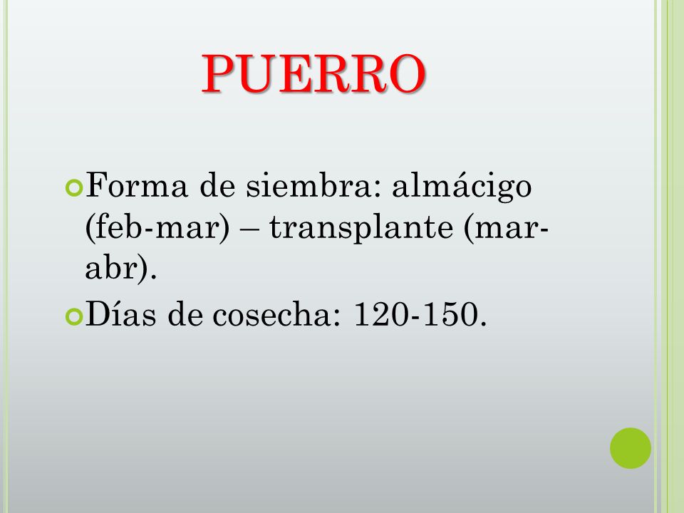 PUERRO Forma de siembra: almácigo (feb-mar) – transplante (mar- abr).