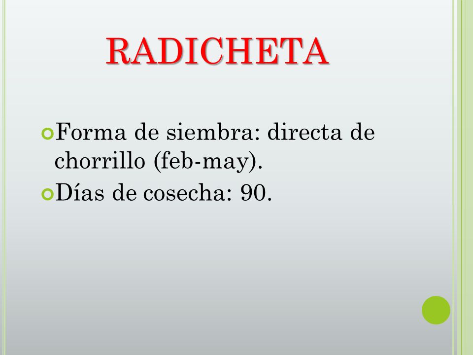 RADICHETA Forma de siembra: directa de chorrillo (feb-may).