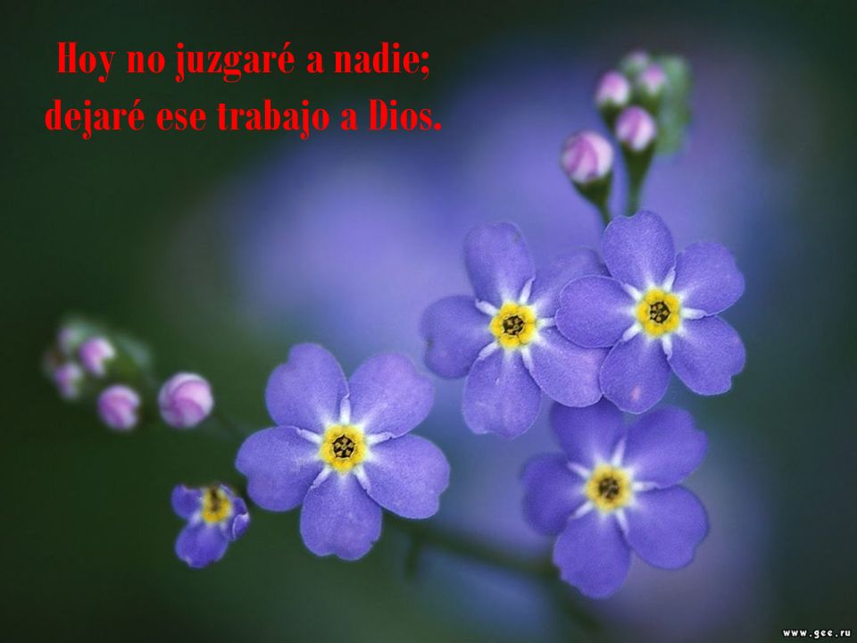 Hoy no juzgaré a nadie; dejaré ese trabajo a Dios.
