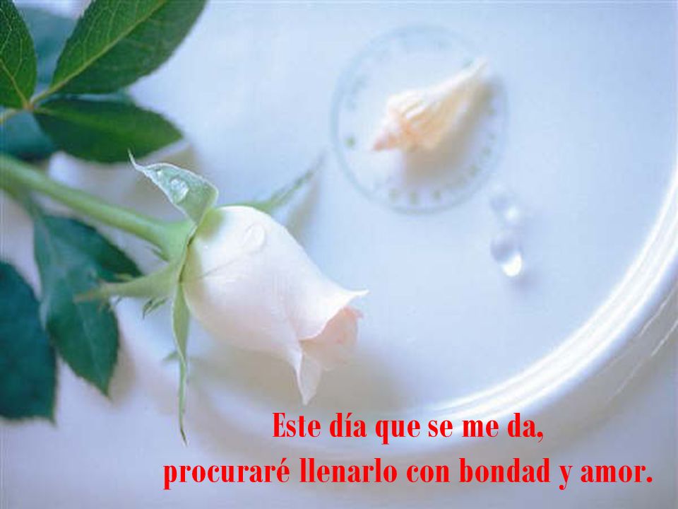 Este día que se me da, procuraré llenarlo con bondad y amor.