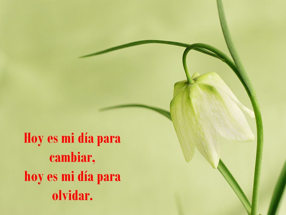 Hoy es mi día para cambiar, hoy es mi día para olvidar.