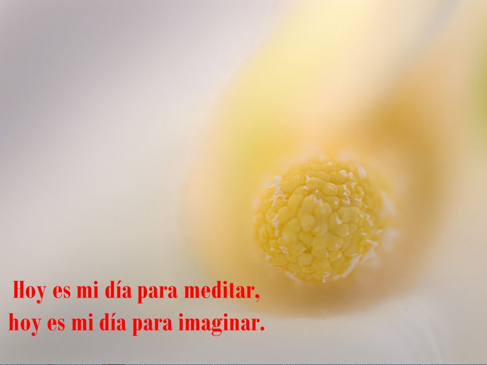Hoy es mi día para meditar, hoy es mi día para imaginar.