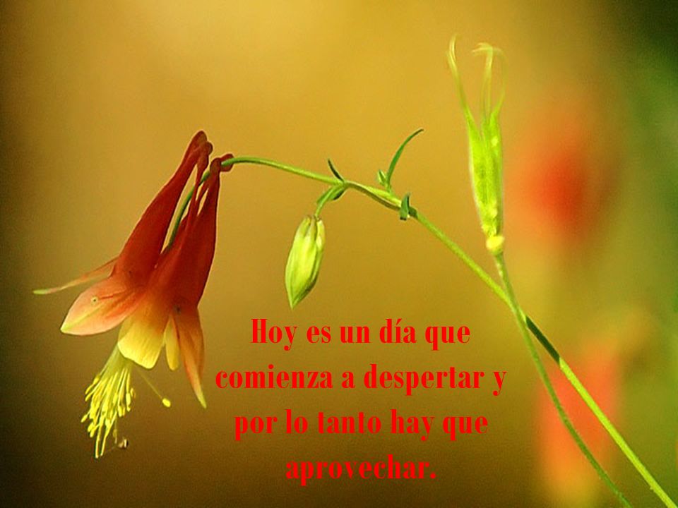 Hoy es un día que comienza a despertar y por lo tanto hay que aprovechar.
