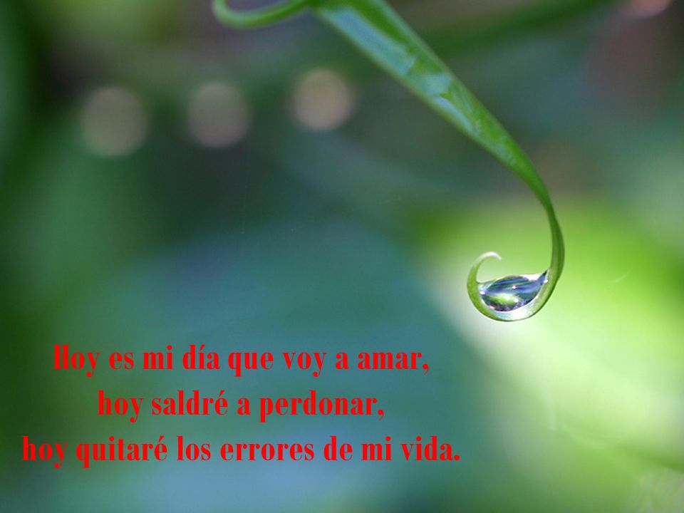 Hoy es mi día que voy a amar, hoy saldré a perdonar, hoy quitaré los errores de mi vida.