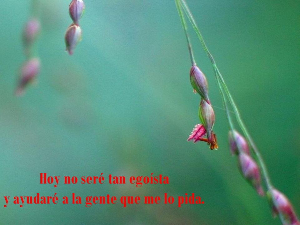 Hoy no seré tan egoísta y ayudaré a la gente que me lo pida.