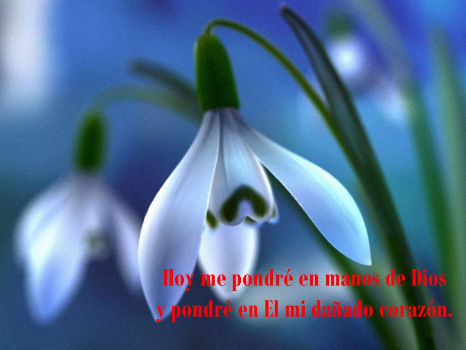 Hoy me pondré en manos de Dios y pondré en El mi dañado corazón.