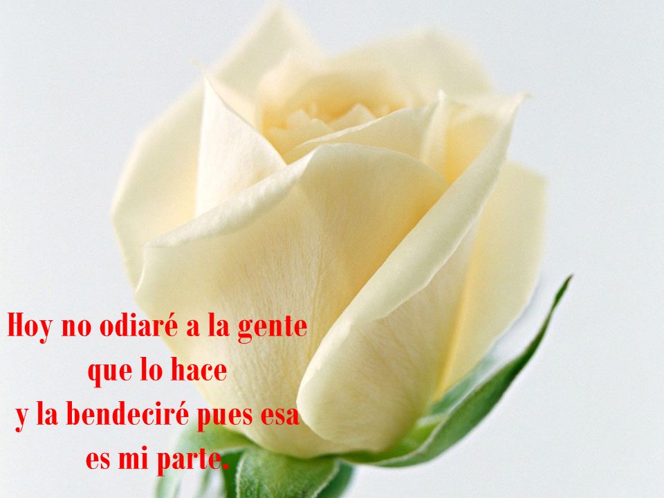Hoy no odiaré a la gente que lo hace y la bendeciré pues esa es mi parte.