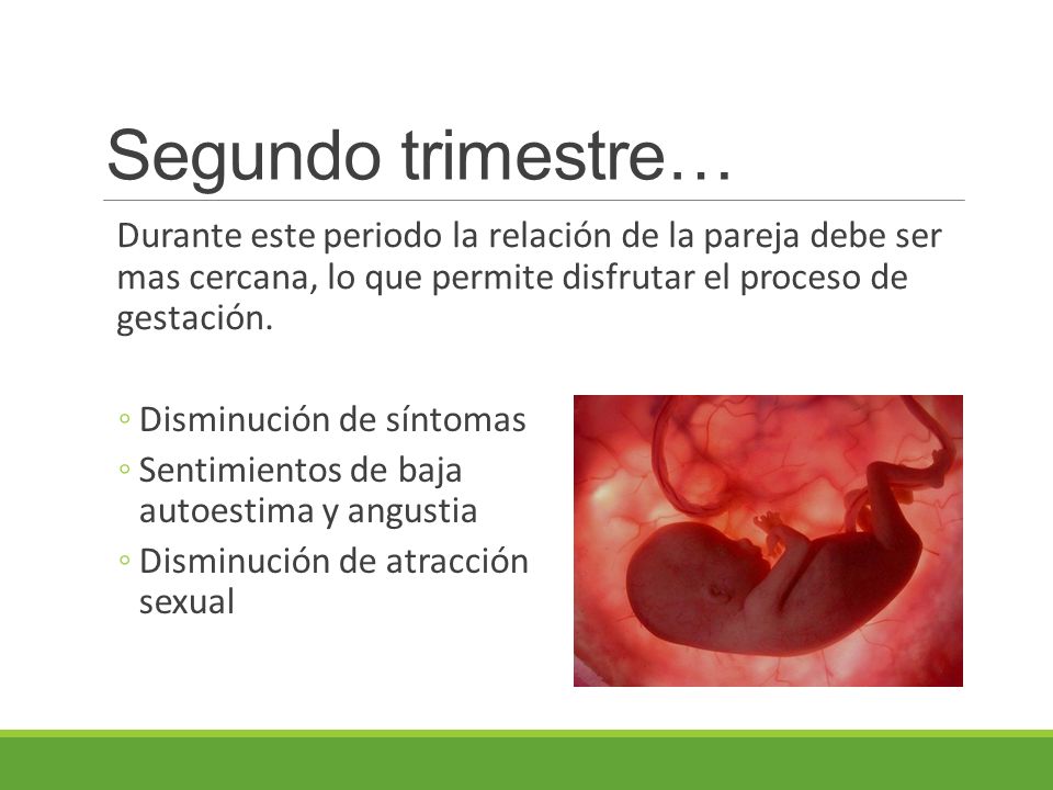 Segundo trimestre… Durante este periodo la relación de la pareja debe ser mas cercana, lo que permite disfrutar el proceso de gestación.