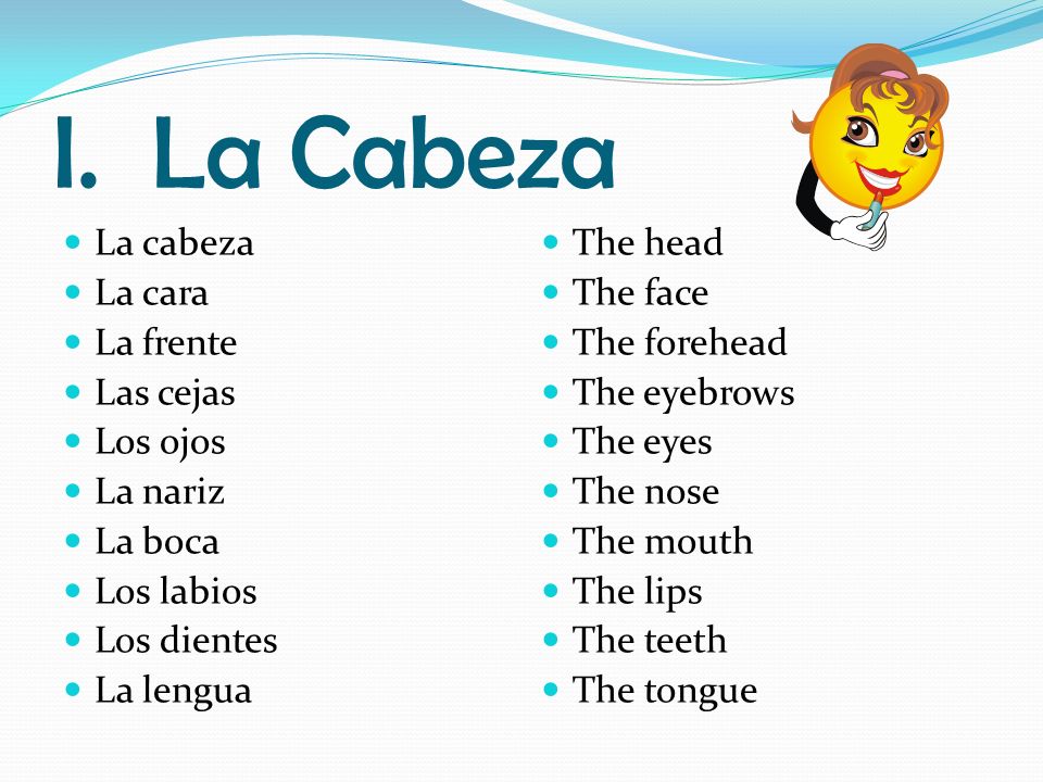 I. La Cabeza La cabeza La cara La frente Las cejas Los ojos La nariz