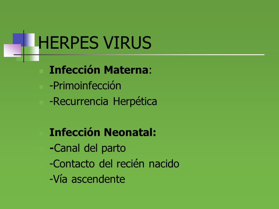 HERPES VIRUS Infección Materna: -Primoinfección -Recurrencia Herpética