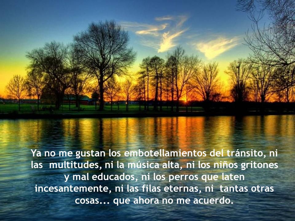 Ya no me gustan los embotellamientos del tránsito, ni las multitudes, ni la música alta, ni los niños gritones y mal educados, ni los perros que laten incesantemente, ni las filas eternas, ni tantas otras cosas...
