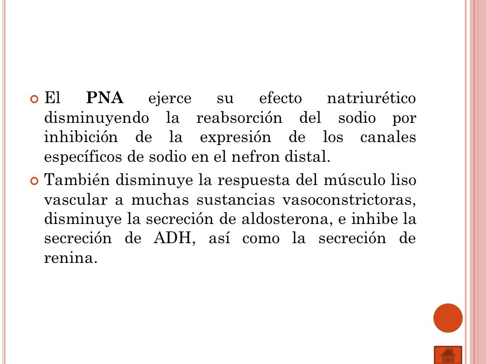 El PNA ejerce su efecto natriurético disminuyendo la reabsorción del sodio por inhibición de la expresión de los canales específicos de sodio en el nefron distal.