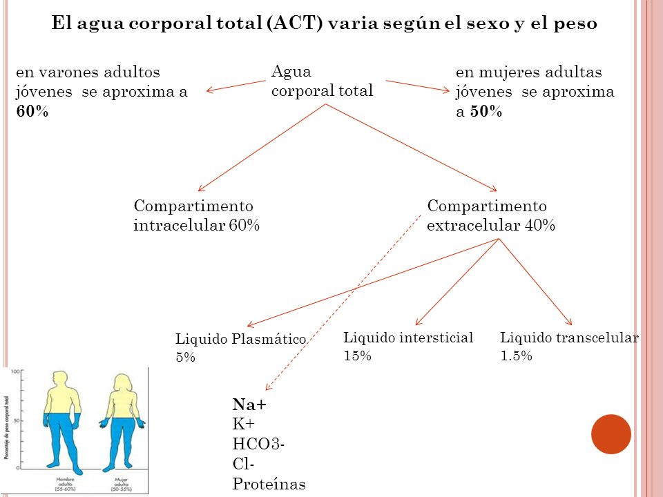 El agua corporal total (ACT) varia según el sexo y el peso