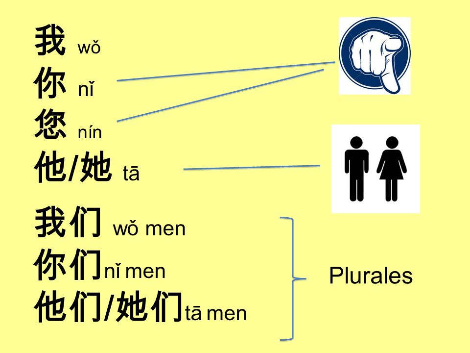 我 wǒ 你 nǐ 您 nín 他/她 tā 我们 wǒ men 你们nǐ men 他们/她们tā men Plurales