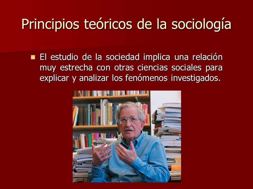 Principios teóricos de la sociología