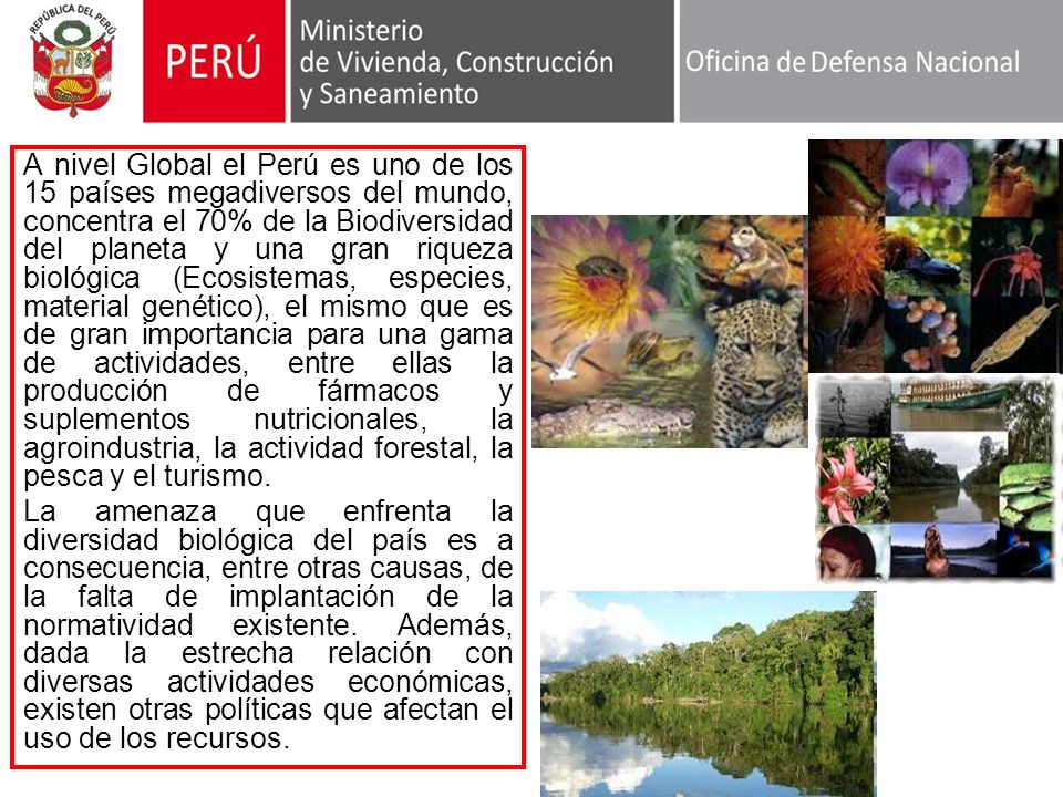 A nivel Global el Perú es uno de los 15 países megadiversos del mundo, concentra el 70% de la Biodiversidad del planeta y una gran riqueza biológica (Ecosistemas, especies, material genético), el mismo que es de gran importancia para una gama de actividades, entre ellas la producción de fármacos y suplementos nutricionales, la agroindustria, la actividad forestal, la pesca y el turismo.