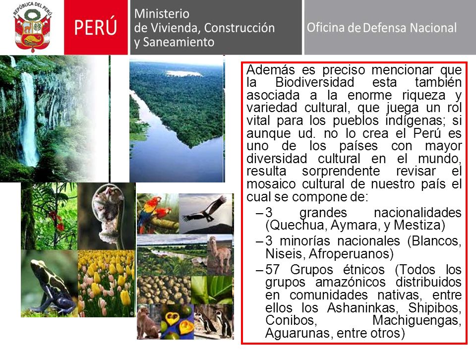 Además es preciso mencionar que la Biodiversidad esta también asociada a la enorme riqueza y variedad cultural, que juega un rol vital para los pueblos indígenas; si aunque ud. no lo crea el Perú es uno de los países con mayor diversidad cultural en el mundo, resulta sorprendente revisar el mosaico cultural de nuestro país el cual se compone de:
