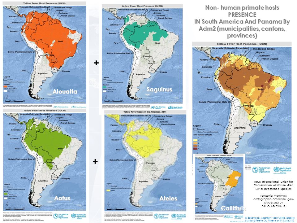 Registered Epizootics by 1st Administrative Division as of 2009 (over habitat map)