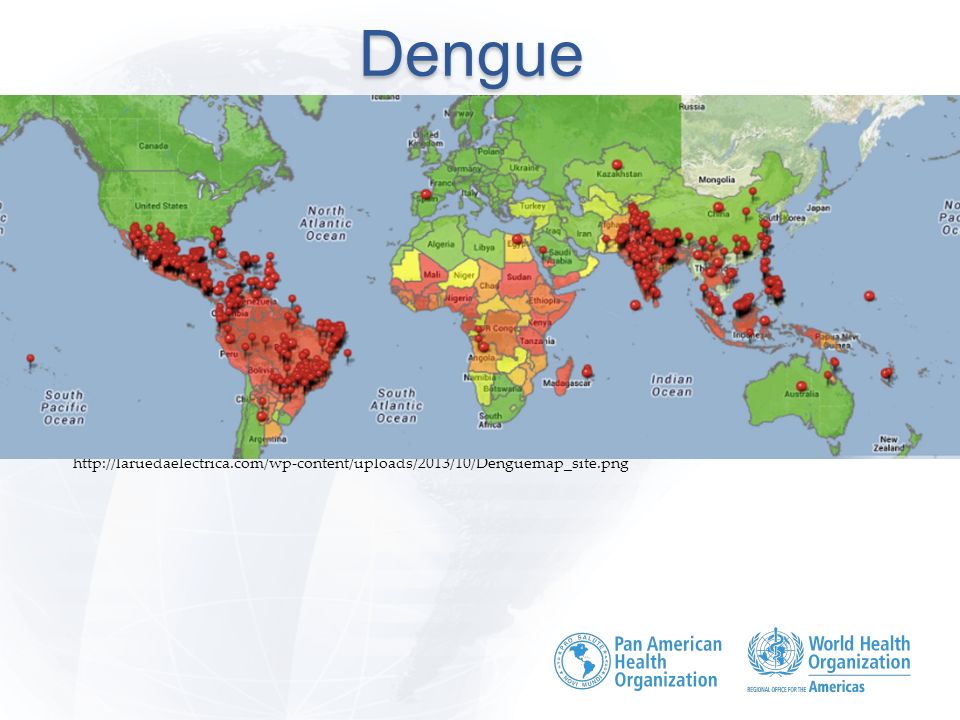 Dengue y Chikungunya Virus transmitidos por los mismos mosquitos