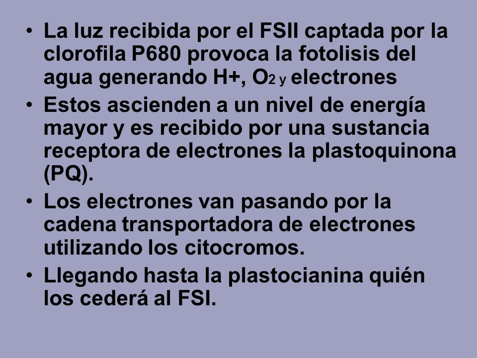 La luz recibida por el FSII captada por la clorofila P680 provoca la fotolisis del agua generando H+, O2 y electrones