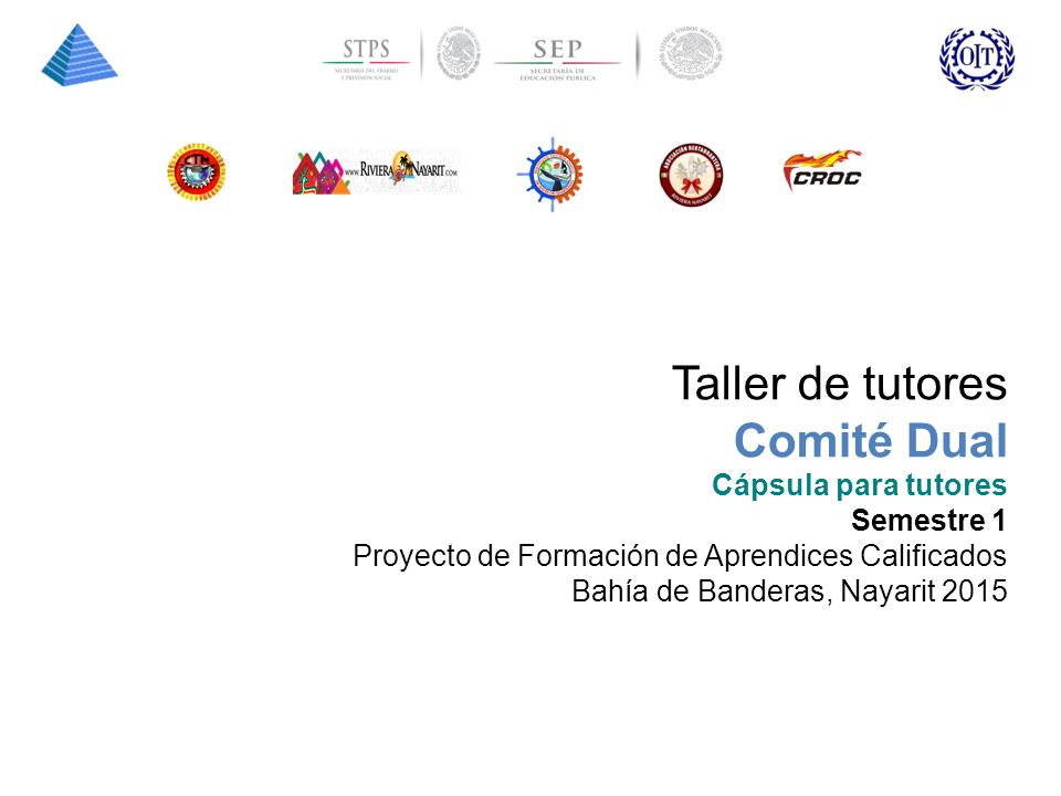 Taller de tutores Comité Dual Cápsula para tutores Semestre 1