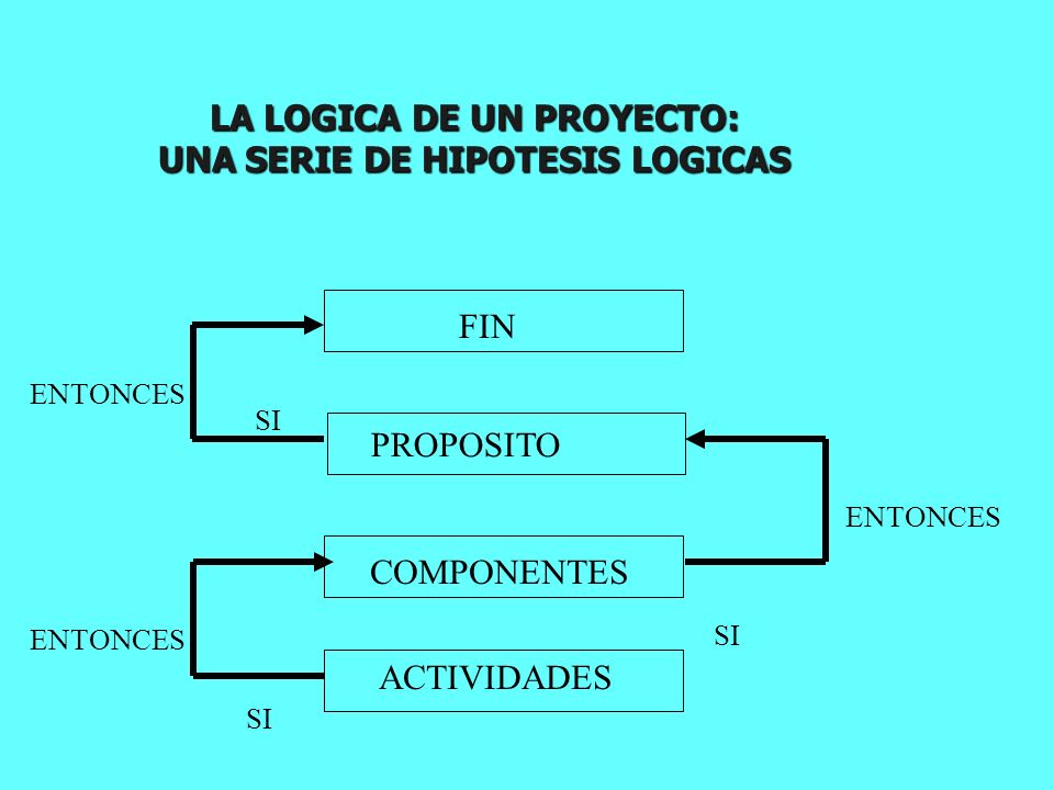 LA LOGICA DE UN PROYECTO: UNA SERIE DE HIPOTESIS LOGICAS
