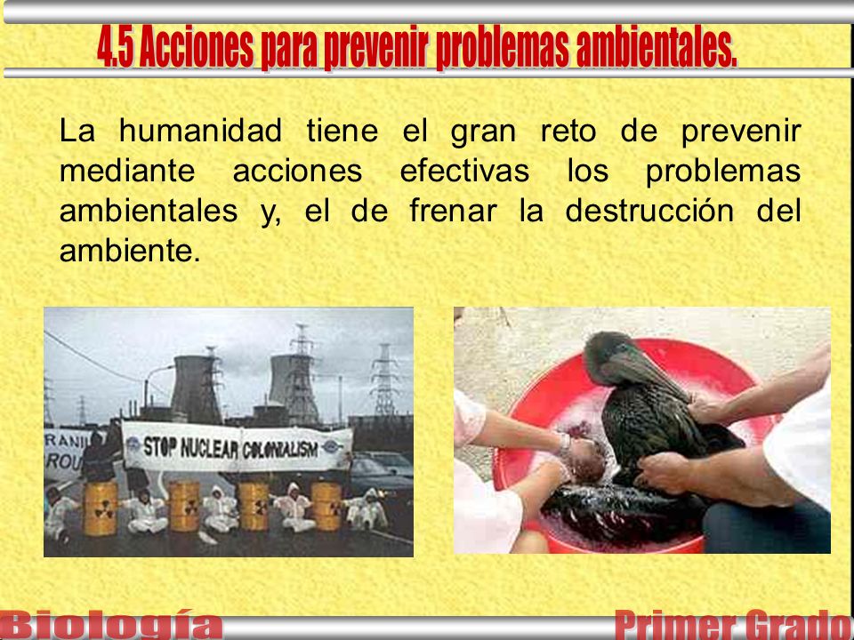 La humanidad tiene el gran reto de prevenir mediante acciones efectivas los problemas ambientales y, el de frenar la destrucción del ambiente.