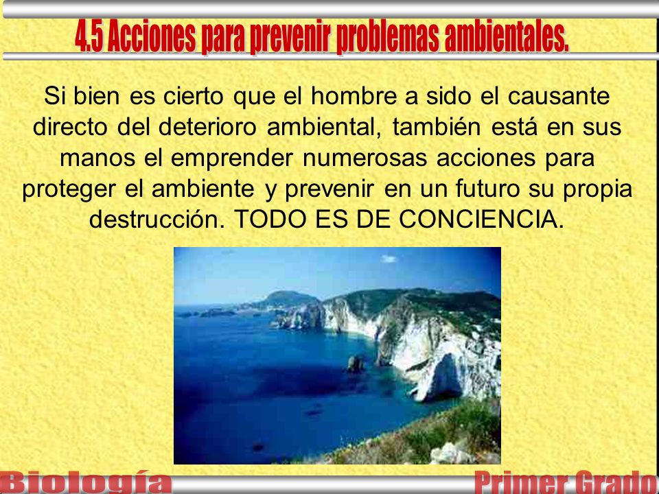 Si bien es cierto que el hombre a sido el causante directo del deterioro ambiental, también está en sus manos el emprender numerosas acciones para proteger el ambiente y prevenir en un futuro su propia destrucción.
