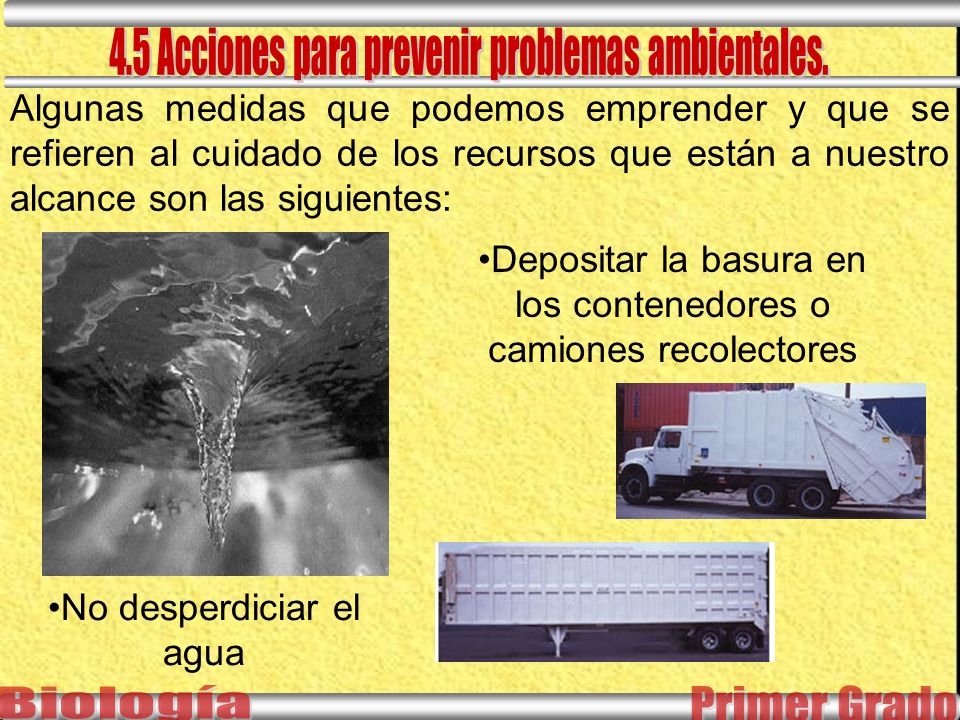 Depositar la basura en los contenedores o camiones recolectores