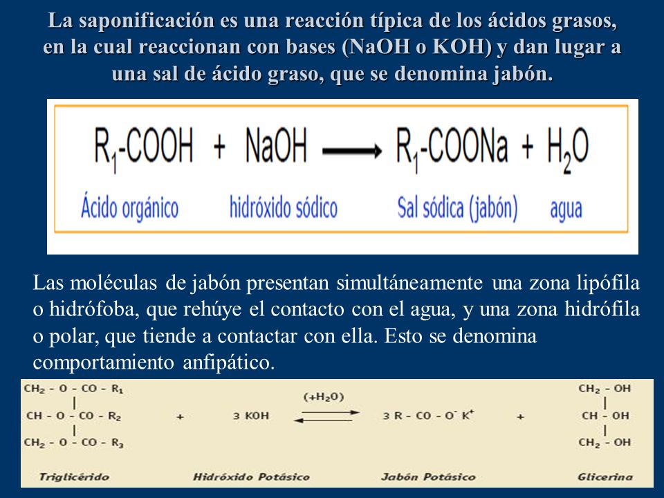 La saponificación es una reacción típica de los ácidos grasos, en la cual reaccionan con bases (NaOH o KOH) y dan lugar a una sal de ácido graso, que se denomina jabón.
