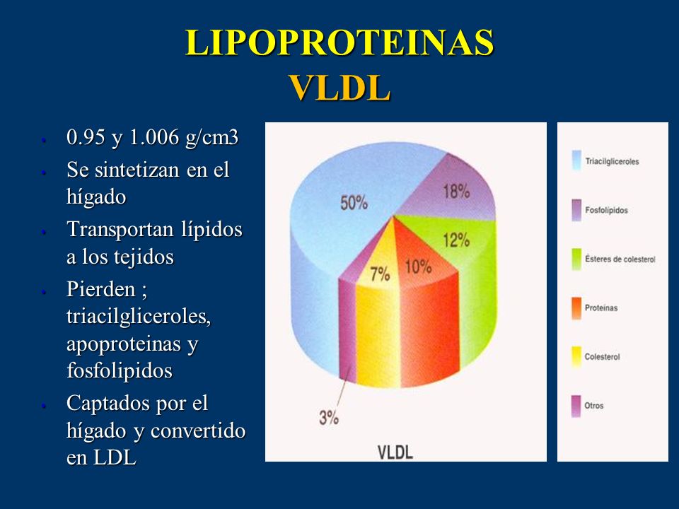 LIPOPROTEINAS VLDL 0.95 y g/cm3 Se sintetizan en el hígado