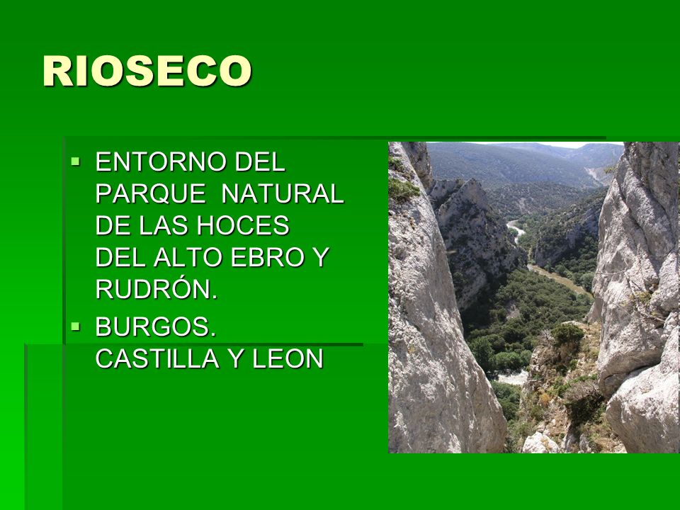 RIOSECO ENTORNO DEL PARQUE NATURAL DE LAS HOCES DEL ALTO EBRO Y RUDRÓN. BURGOS. CASTILLA Y LEON