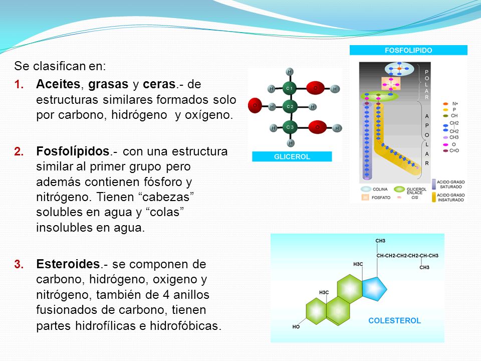 Se clasifican en: Aceites, grasas y ceras.- de estructuras similares formados solo por carbono, hidrógeno y oxígeno.