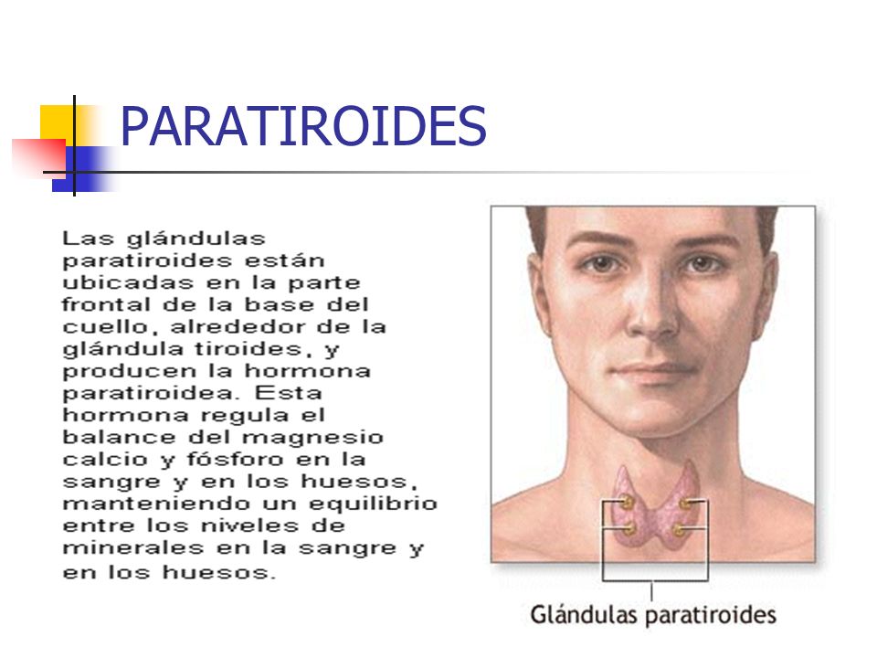 Paratiroides síntomas y tratamiento