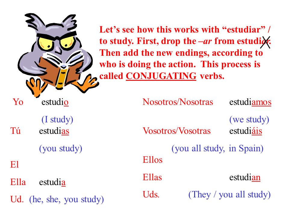 Let’s see how this works with estudiar / to study