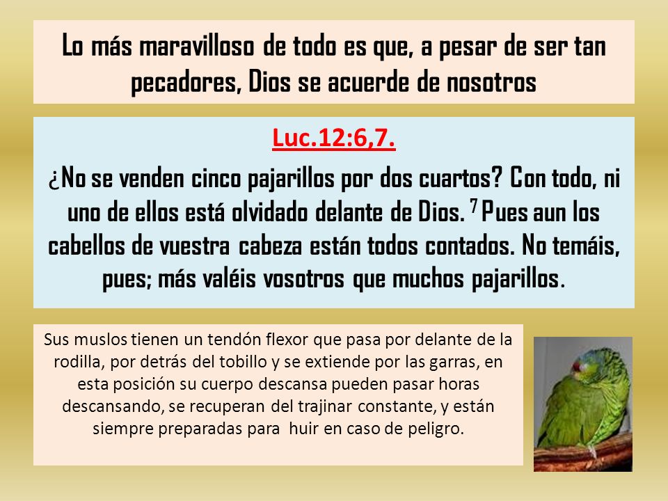 Lo más maravilloso de todo es que, a pesar de ser tan pecadores, Dios se acuerde de nosotros