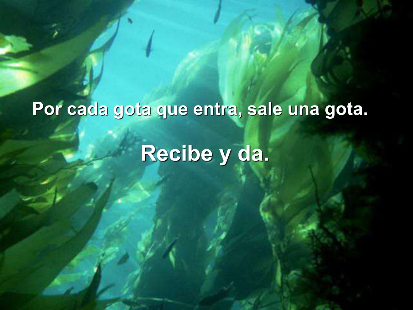 Recibe y da. Por cada gota que entra, sale una gota.