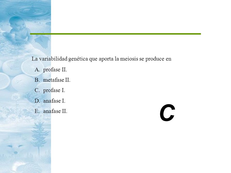 C La variabilidad genética que aporta la meiosis se produce en