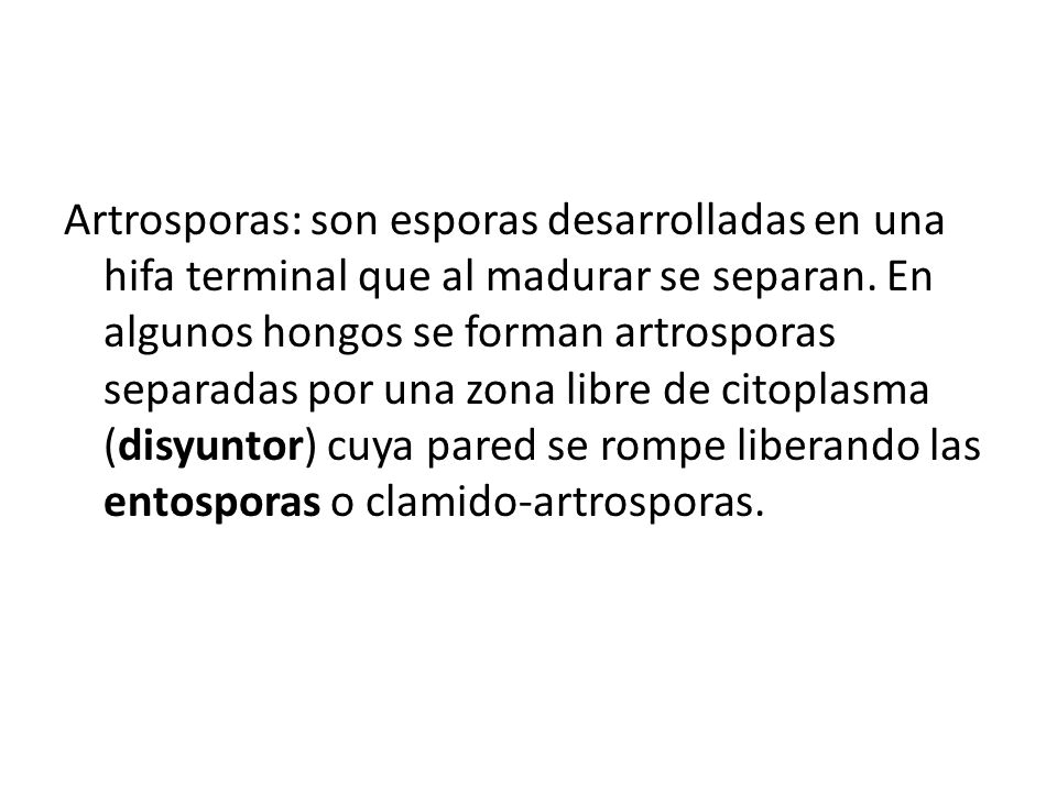 Artrosporas: son esporas desarrolladas en una hifa terminal que al madurar se separan.