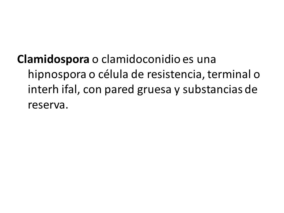 Clamidospora o clamidoconidio es una hipnospora o célula de resistencia, terminal o interh ifal, con pared gruesa y substancias de reserva.