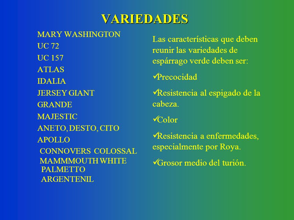 VARIEDADES MARY WASHINGTON. UC 72. UC 157. ATLAS. IDALIA. JERSEY GIANT. GRANDE. MAJESTIC. ANETO, DESTO, CITO.