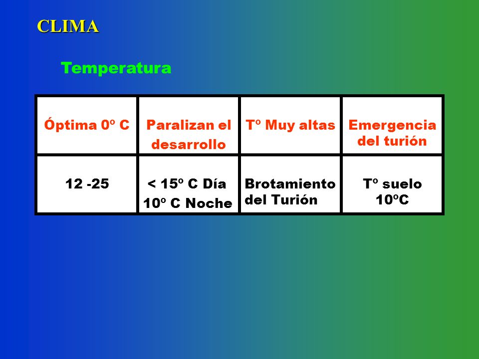 CLIMA Temperatura Óptima 0º C Paralizan el desarrollo Tº Muy altas