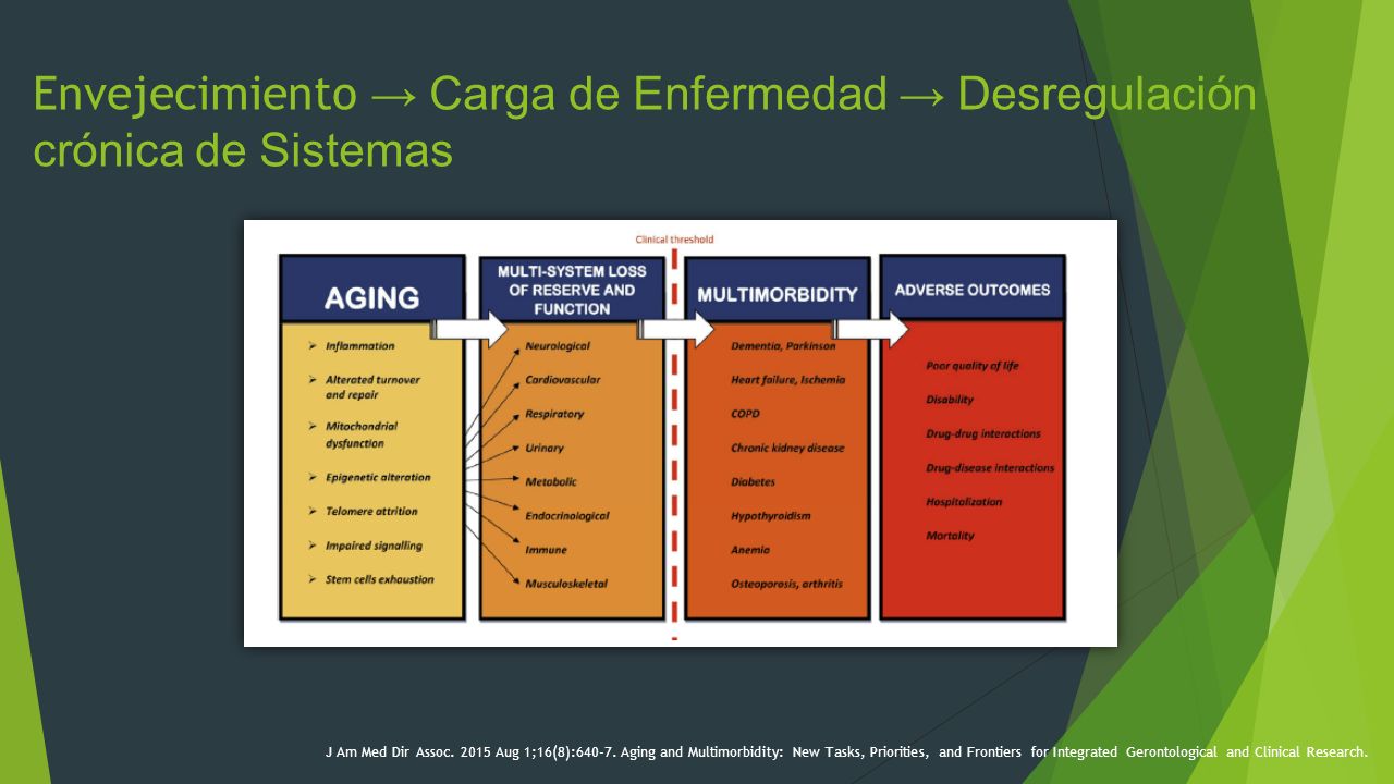 Envejecimiento → Carga de Enfermedad → Desregulación crónica de Sistemas