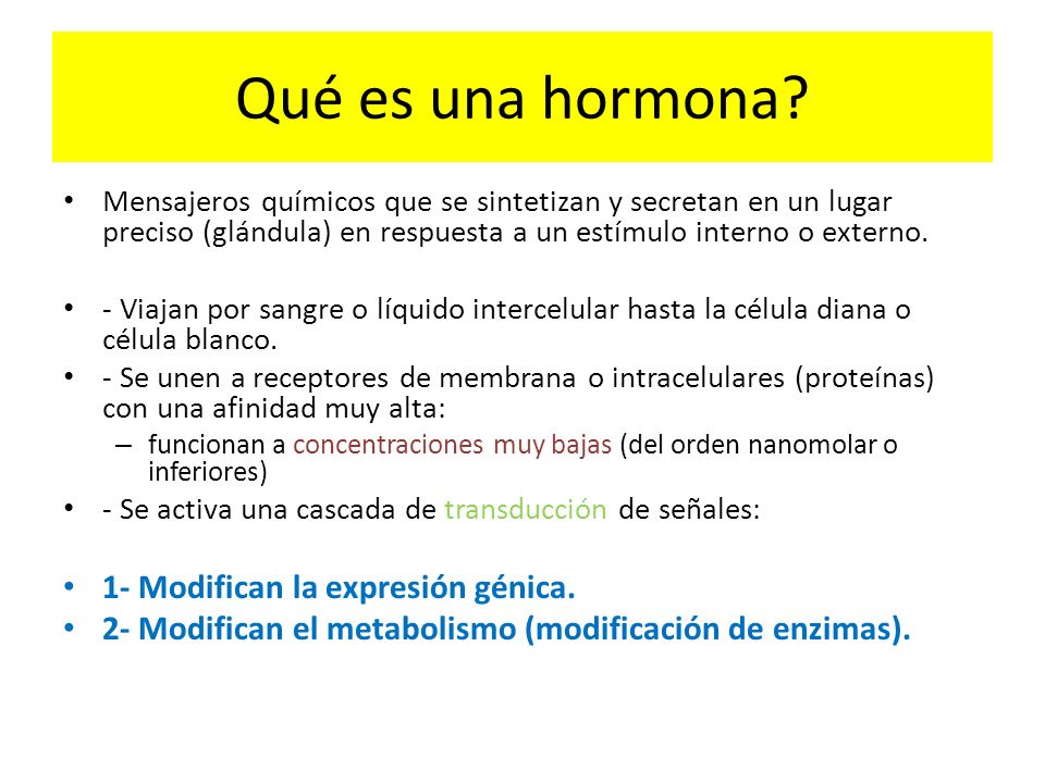 Qué es una hormona 1- Modifican la expresión génica.