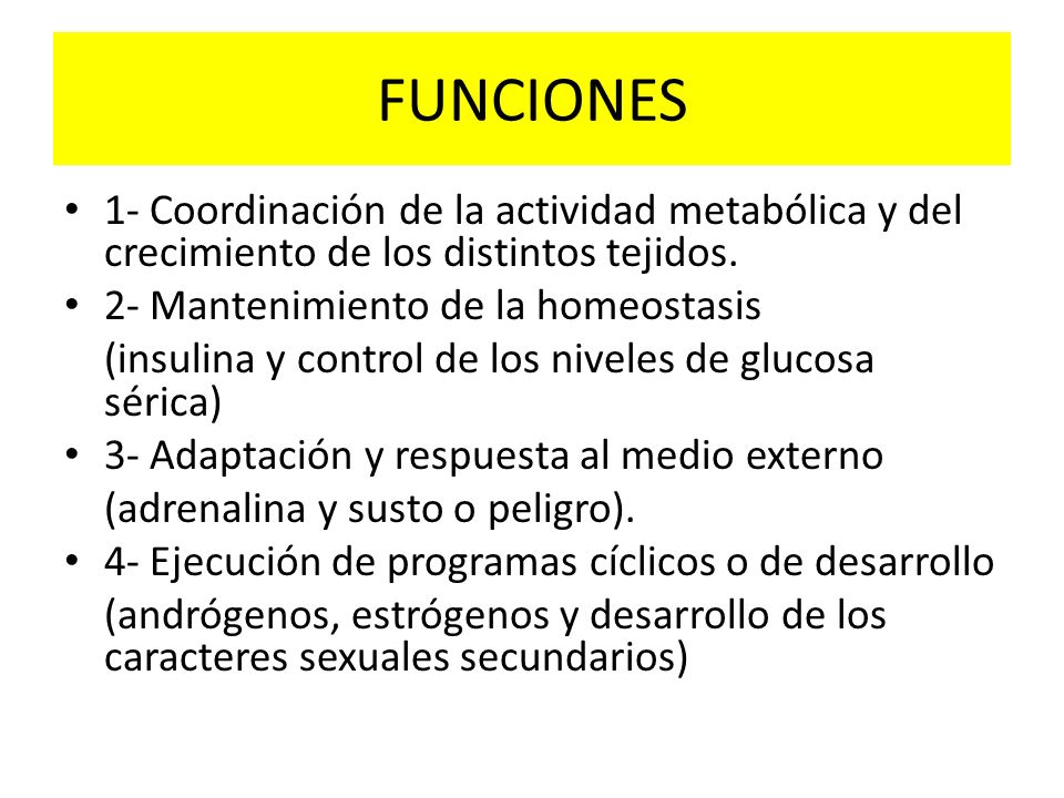 FUNCIONES 1- Coordinación de la actividad metabólica y del crecimiento de los distintos tejidos. 2- Mantenimiento de la homeostasis.