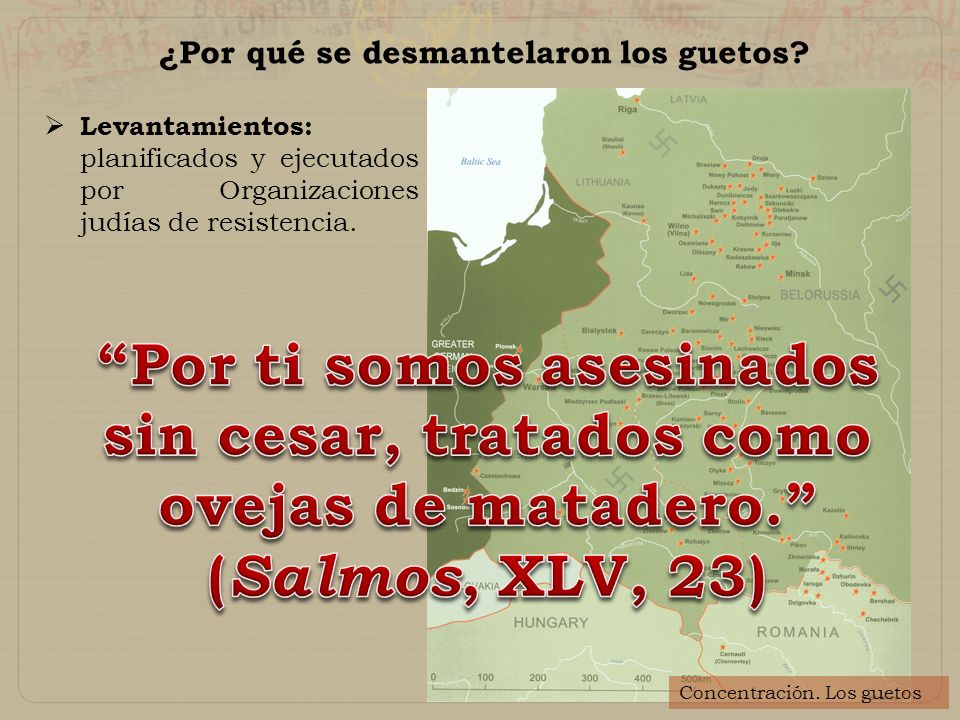 Por ti somos asesinados sin cesar, tratados como ovejas de matadero.