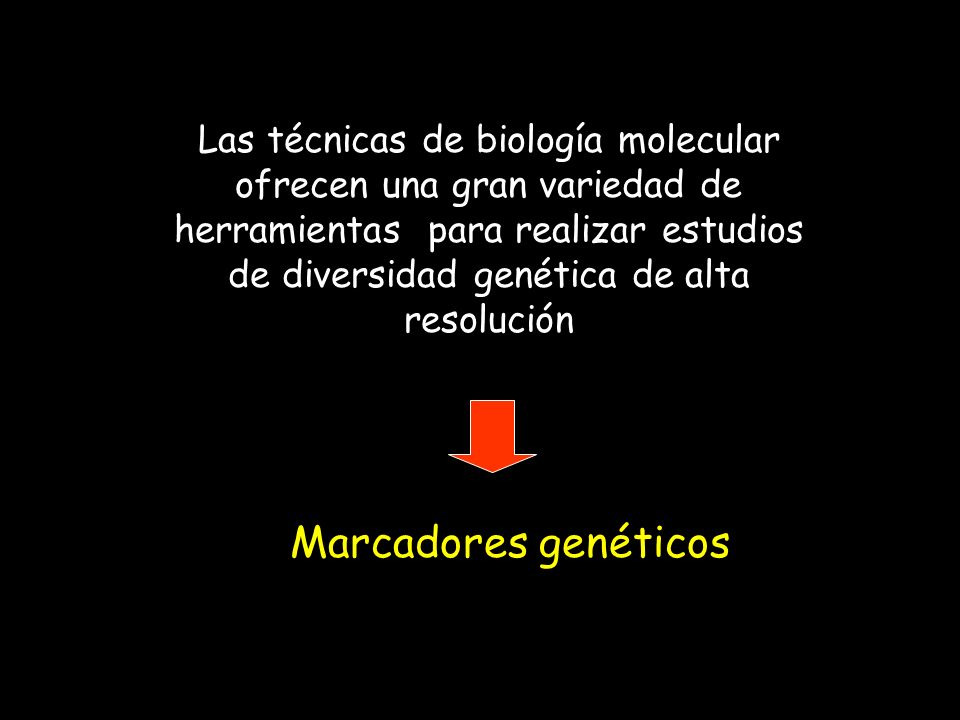 Las técnicas de biología molecular ofrecen una gran variedad de herramientas para realizar estudios de diversidad genética de alta resolución