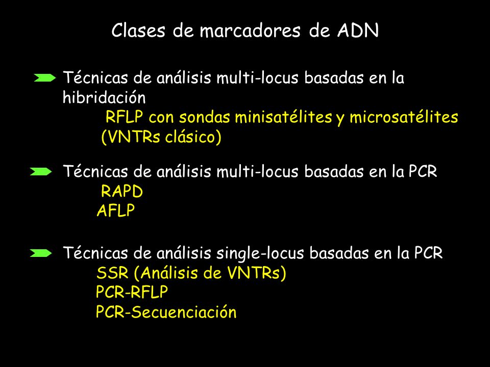 Clases de marcadores de ADN