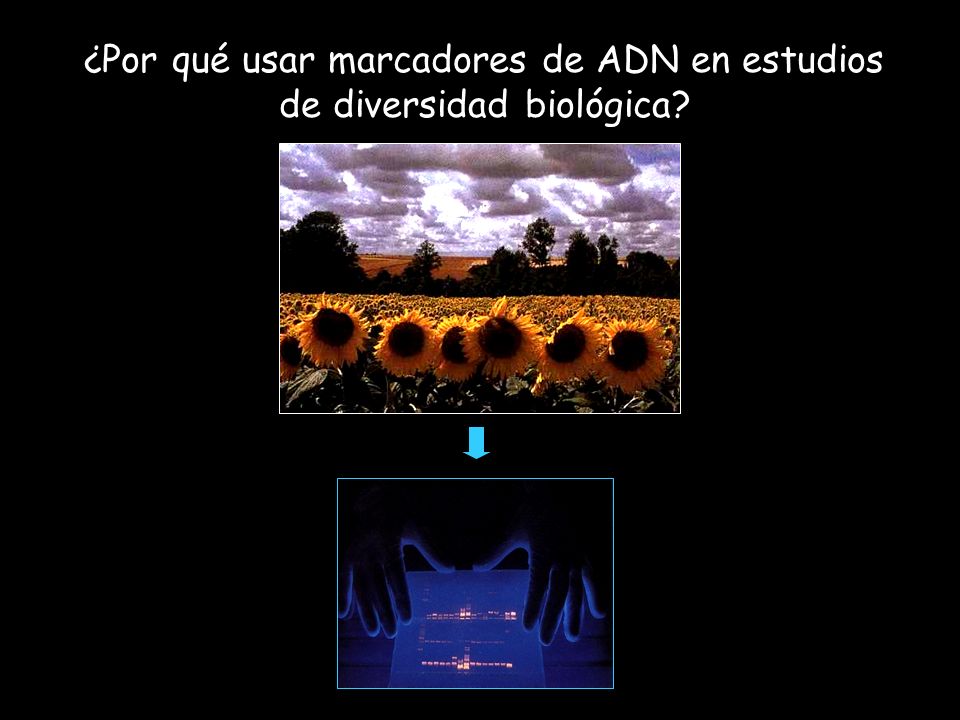 ¿Por qué usar marcadores de ADN en estudios de diversidad biológica