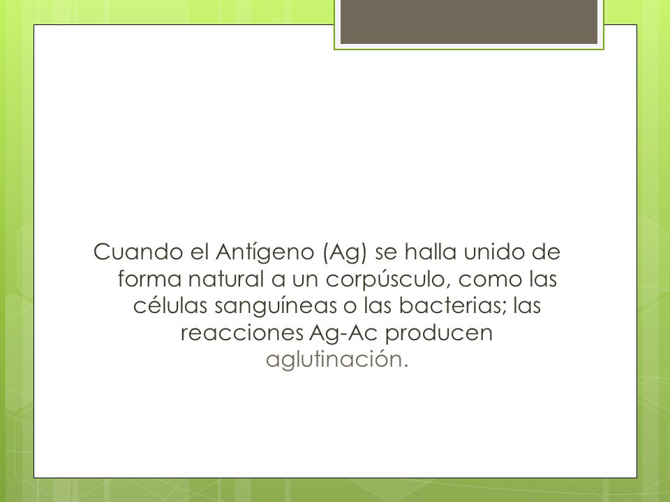Cuando el Antígeno (Ag) se halla unido de forma natural a un corpúsculo, como las células sanguíneas o las bacterias; las reacciones Ag-Ac producen aglutinación.